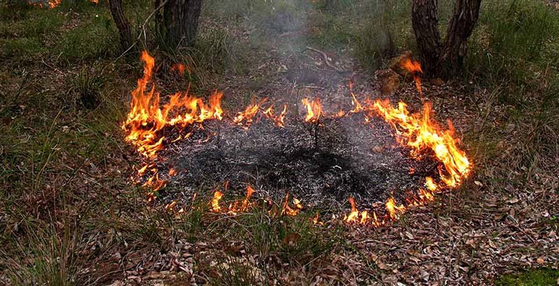 Local brigade and safe burn preparation image